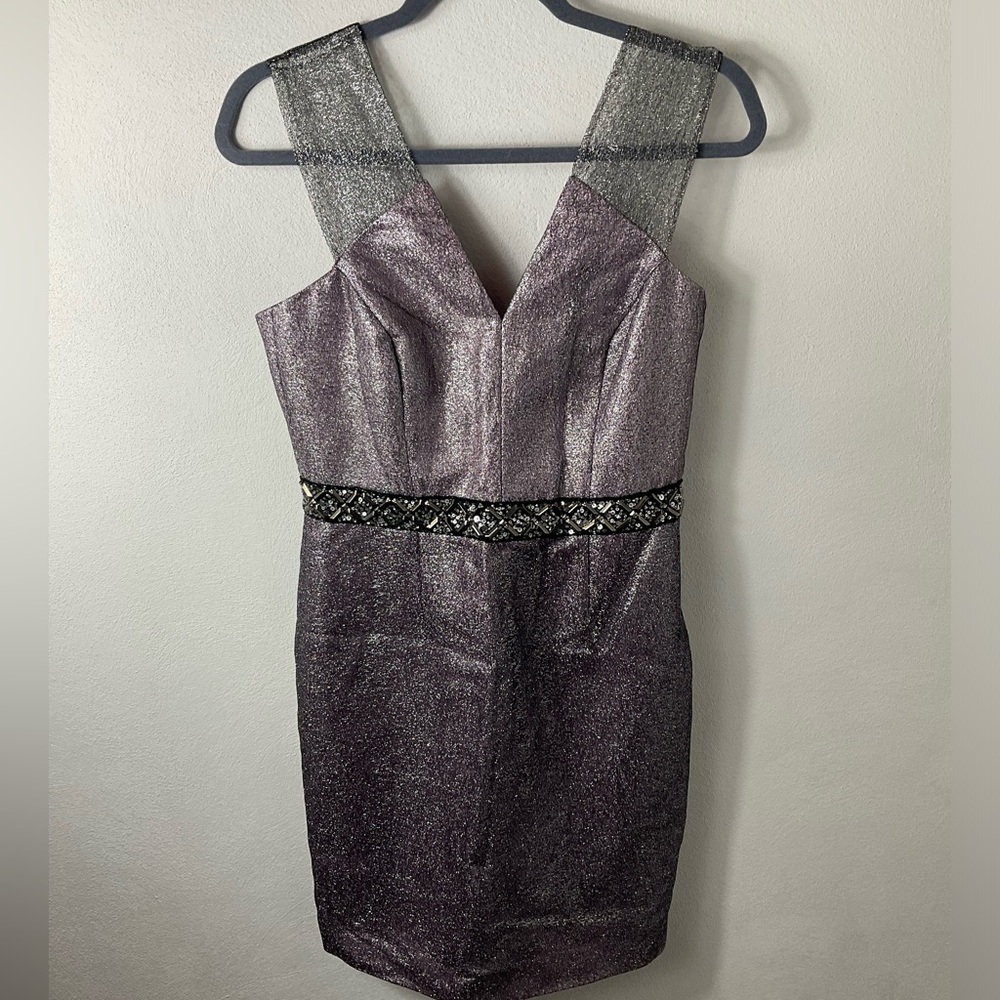 Phoebe Purple Silver Shimmer Dress Sz 8